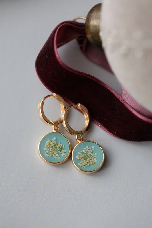 Real Queen Anne's lace Earrings on Turquoise