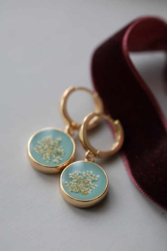 Real Queen Anne's lace Earrings on Turquoise