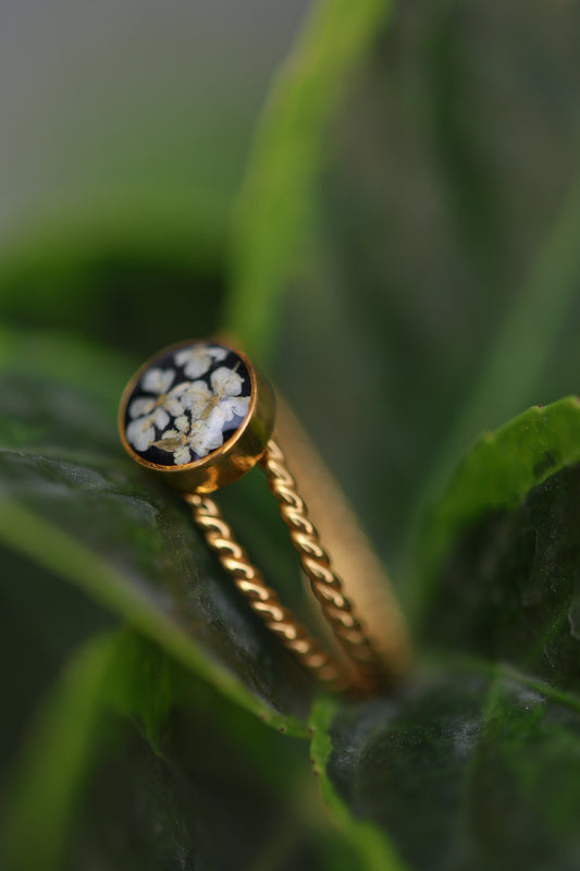 Gold Botanical Ring with real white flowers on black